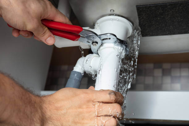 Best Water damage restoration mold remediation  in Julian, CA