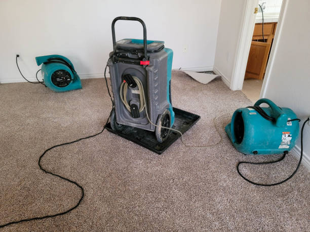 Best Local water damage restoration  in Julian, CA