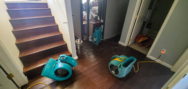 Best 24/7 water damage repair  in Julian, CA