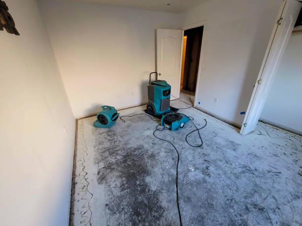 Best Ceiling water damage repair  in Julian, CA
