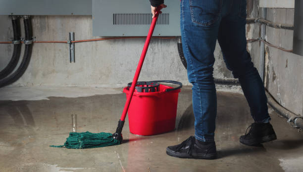 Best Water damage cleanup near me  in Julian, CA