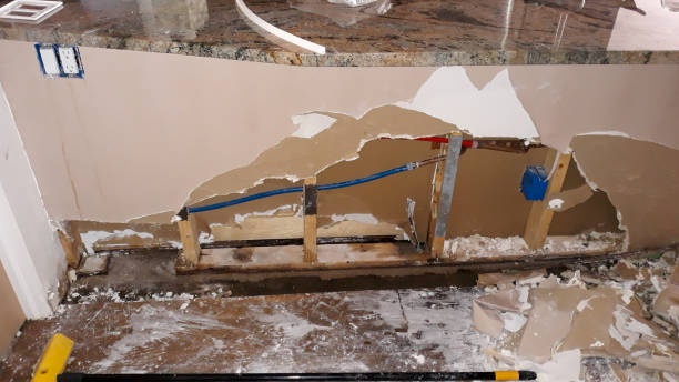 Best Flood damage cleanup  in Julian, CA