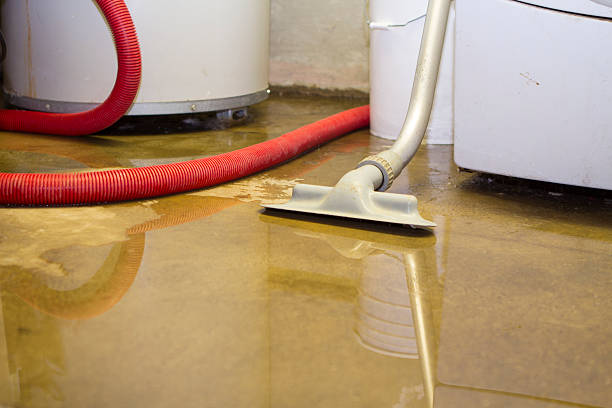 Best Emergency water extraction  in Julian, CA