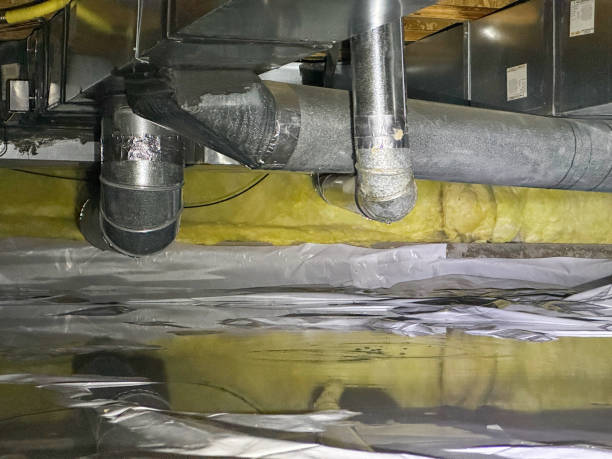 Best Mold removal after water damage  in Julian, CA