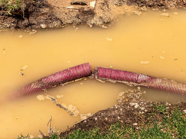 Best Basement water damage restoration  in Julian, CA
