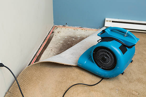 Best Fire Damage Restoration  in Julian, CA