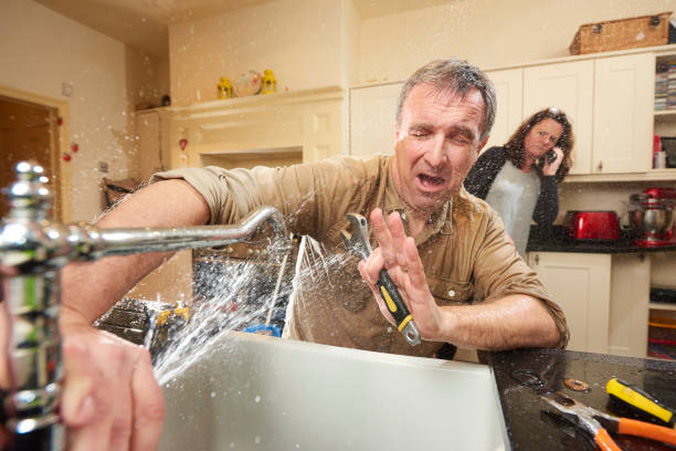 Best Flooded house restoration  in Julian, CA